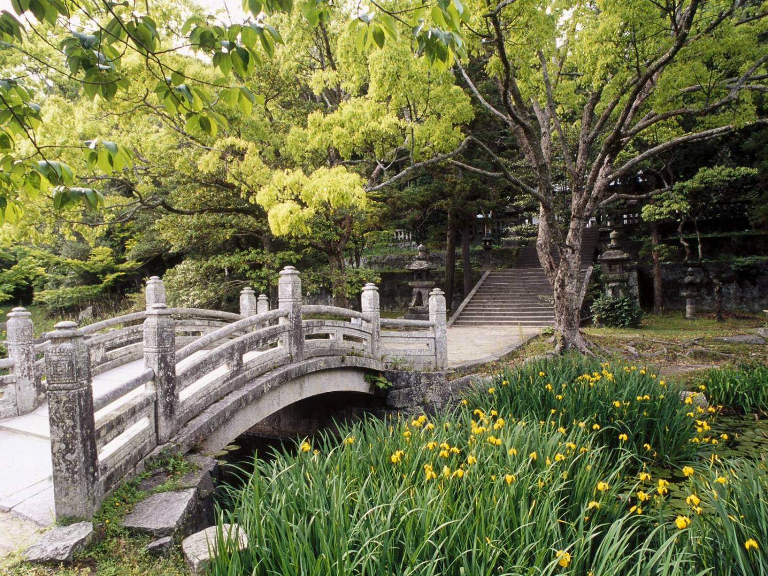 Японский сад Айвазовского Ялта